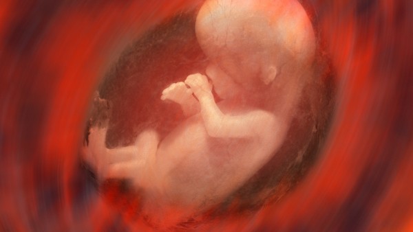 孕妇感冒可以喝四季抗病毒合剂吗 四季抗病毒合剂对胎儿有影响吗