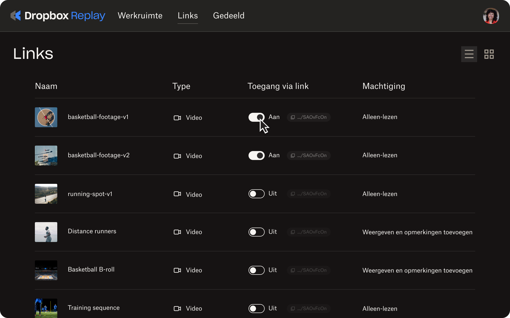 Animatie van het in- en uitschakelen van toegang tot gedeelde links voor bestanden in Replay
