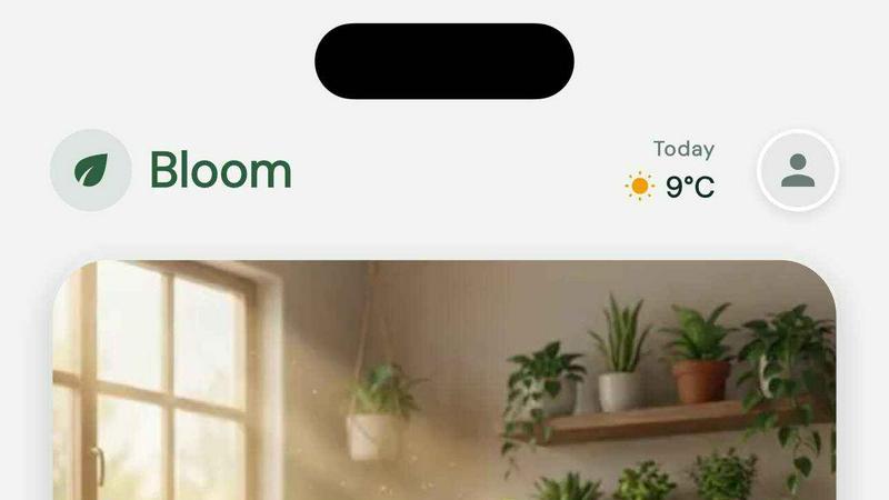 Bloom Plant ID screenshot