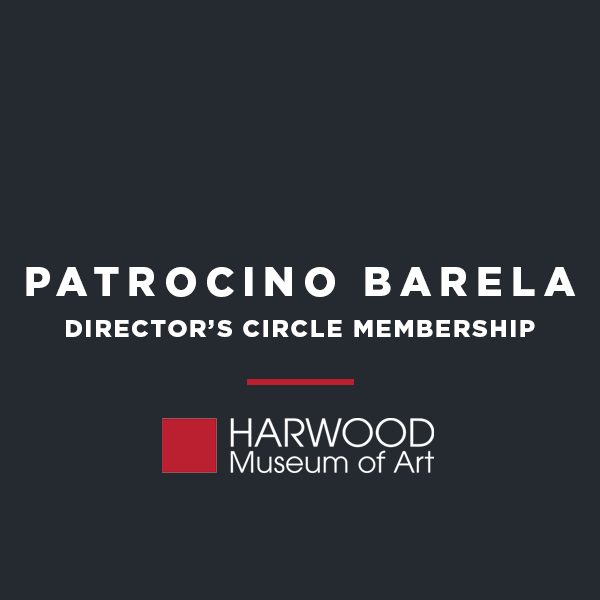 patrocino-barela-membership.png Patrocino Barela membership icon