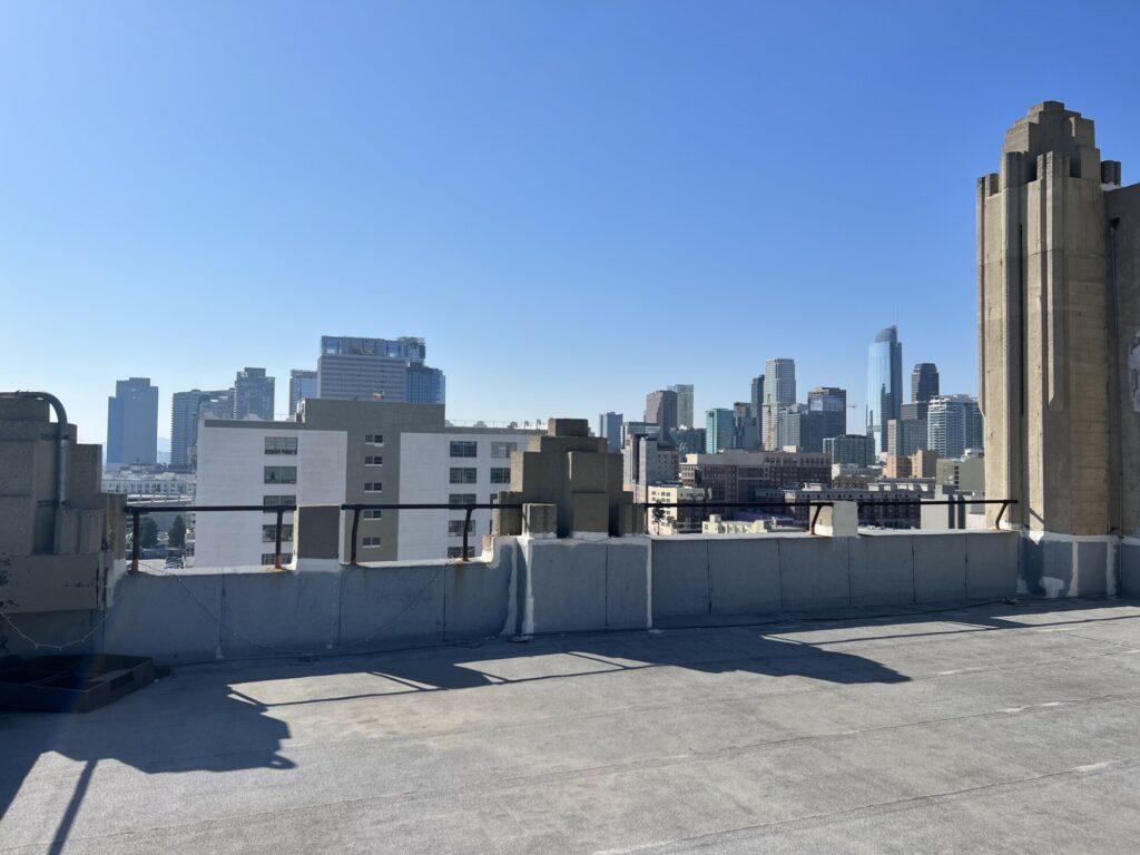 Rooftop DTLA view Heidi Duckler Dance rooftop with view of downtown L.A.