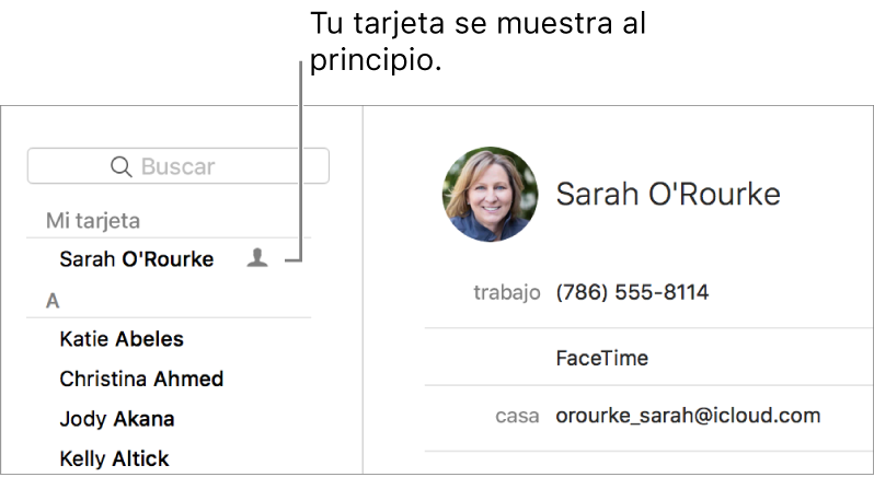 La barra lateral de Contactos mostrando la tarjeta "yo" en la parte superior.