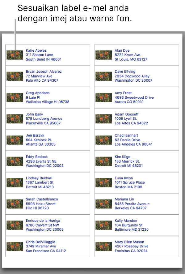 Pratonton label mel, disesuaikan dengan imej serta warna fon dan sedia untuk dicetak.