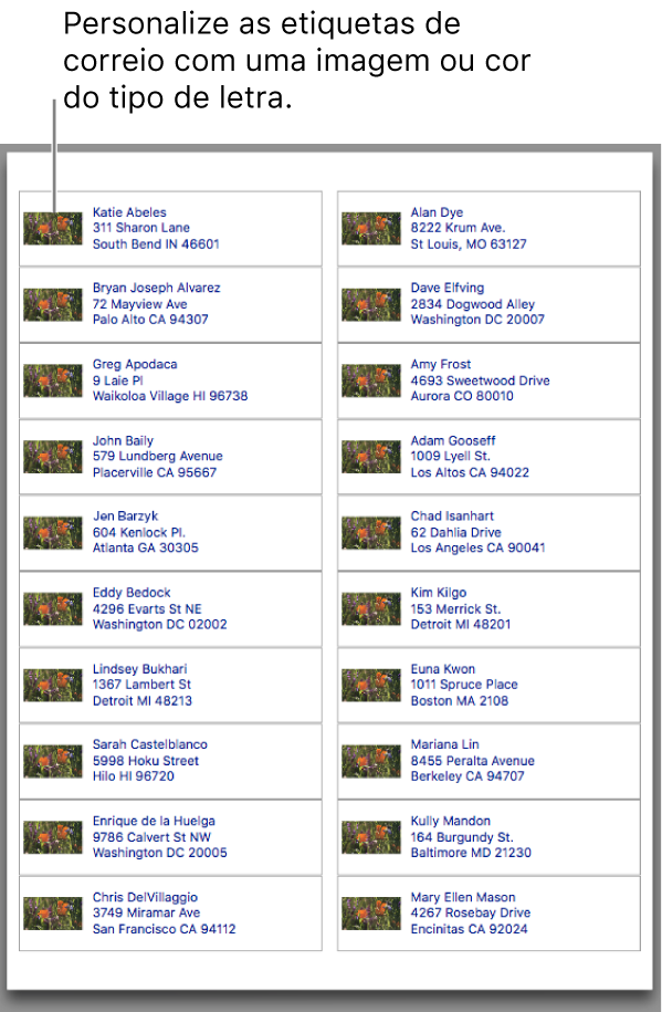 Uma pré-visualização das etiquetas de correio, personalizadas com uma imagem e cor do tipo de letra, prontas a imprimir