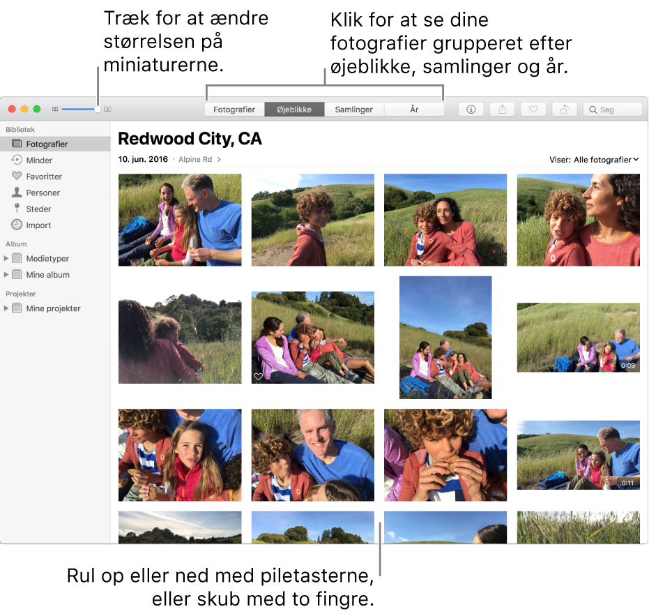 Fotos-vindue, der viser fotografier i et øjeblik.