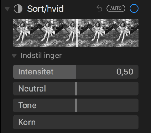 Området Sort/hvid i vinduet Juster med mærker til Intensitet, Neutral, Tone og Kornethed.