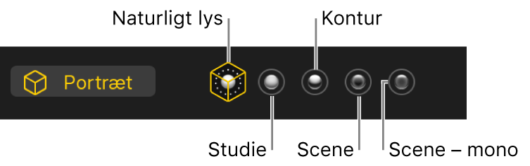 Mulige lyseffekter til portrætter.