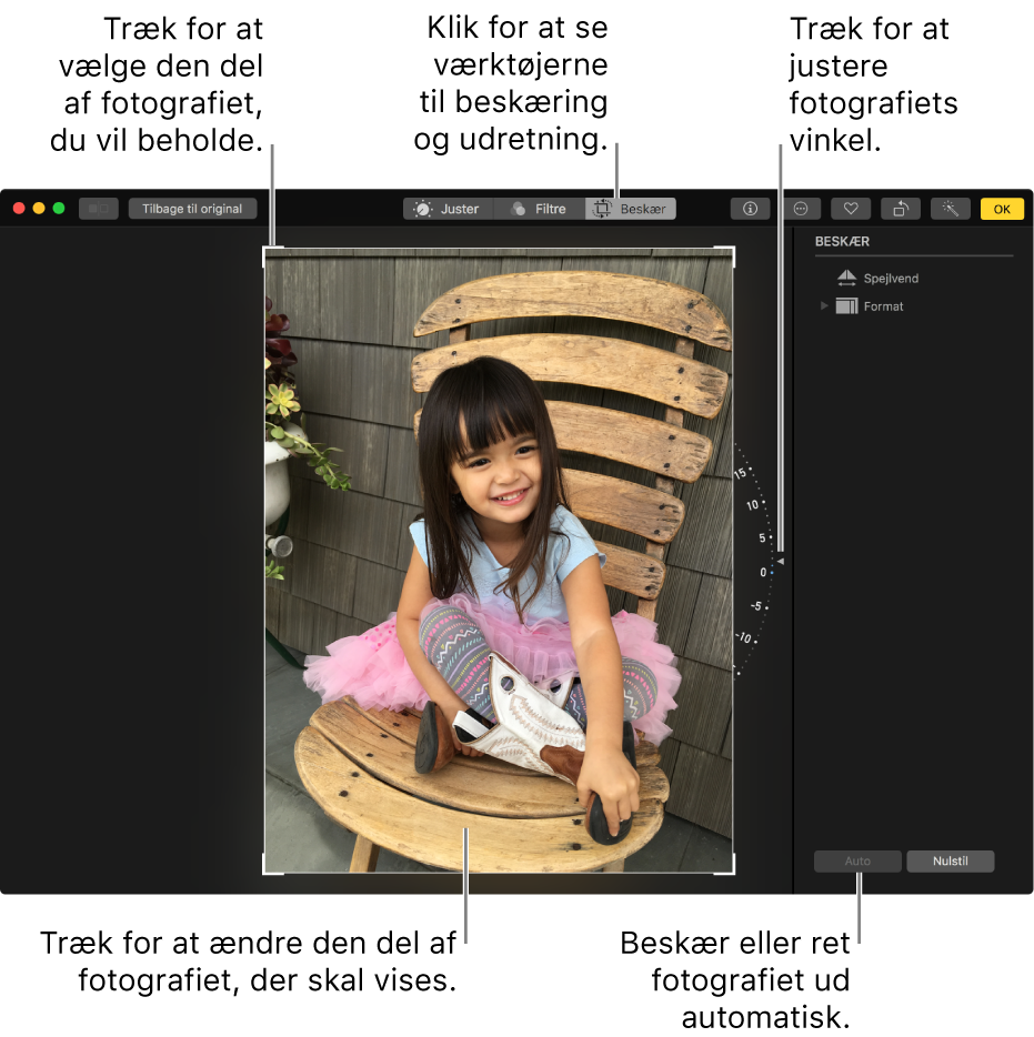 Vindue, der viser et fotografi med muligheder til beskæring og udretning.