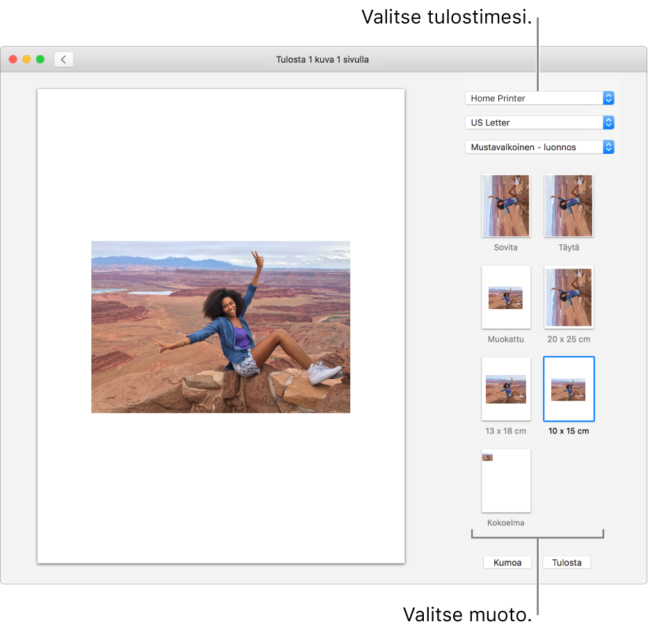 Ikkuna, jossa näkyvät tulostusvalinnat.