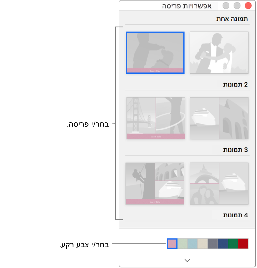 חלון ״אפשרויות פריסה״ עבור כרטיס.