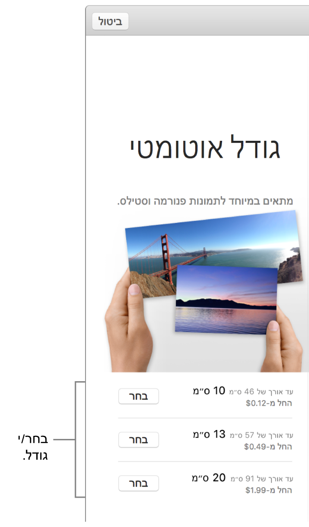 חלון המציג אפשרויות גודל עבור מבנה ההדפסה ״גודל שנקבע אוטומטית״.