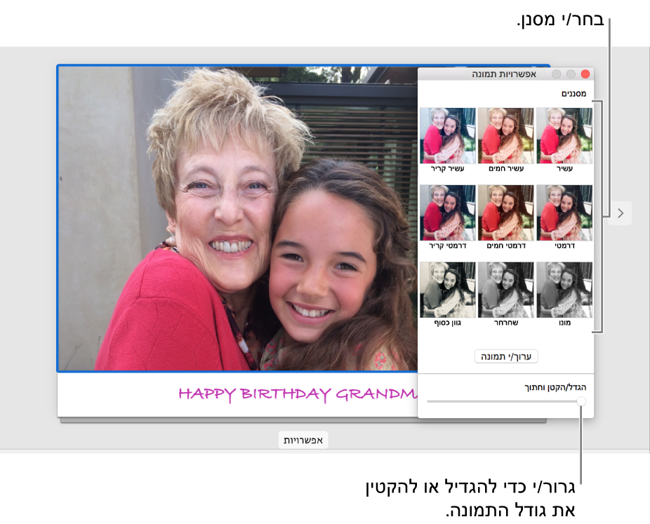 חלון ״אפשרויות תמונה״ עבור כרטיס, המציג את המחוון לשינוי גודל וחיתוך בחלק התחתון ואפשרויות אפקטים בחלק העליון.