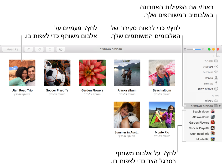 החלונית ״משותף״ בחלון ״תמונות״ מציגה אלבומים משותפים.