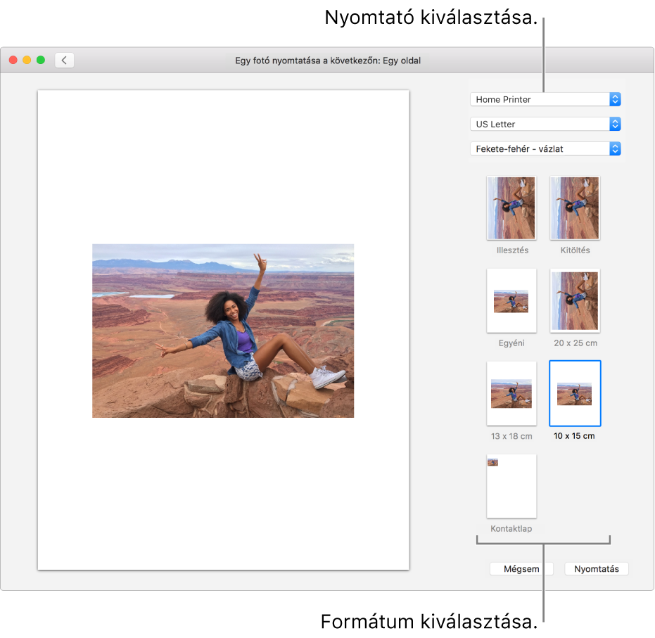 A nyomtatási beállításokat tartalmazó ablak.