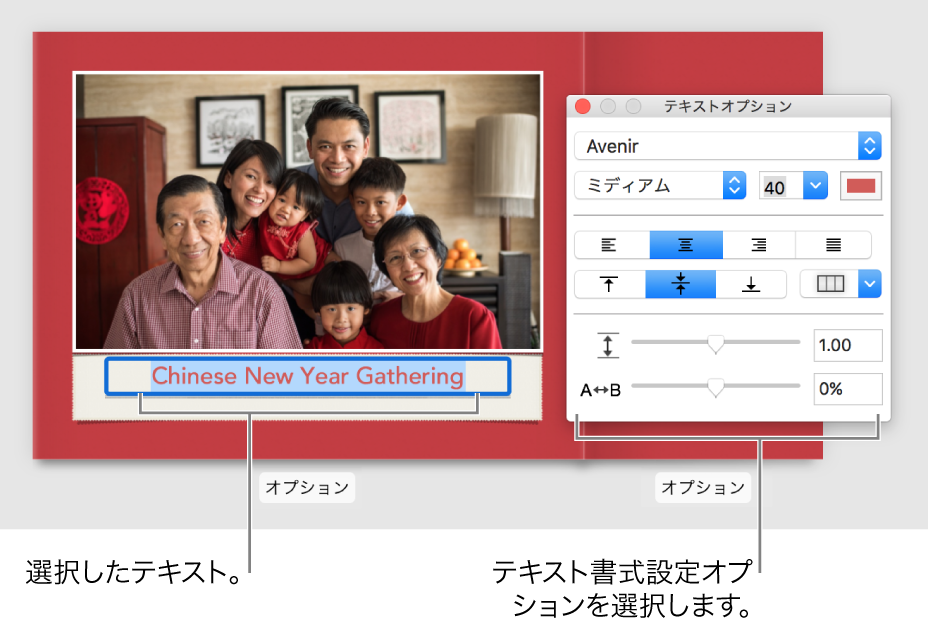 「テキストオプション」ウインドウ。