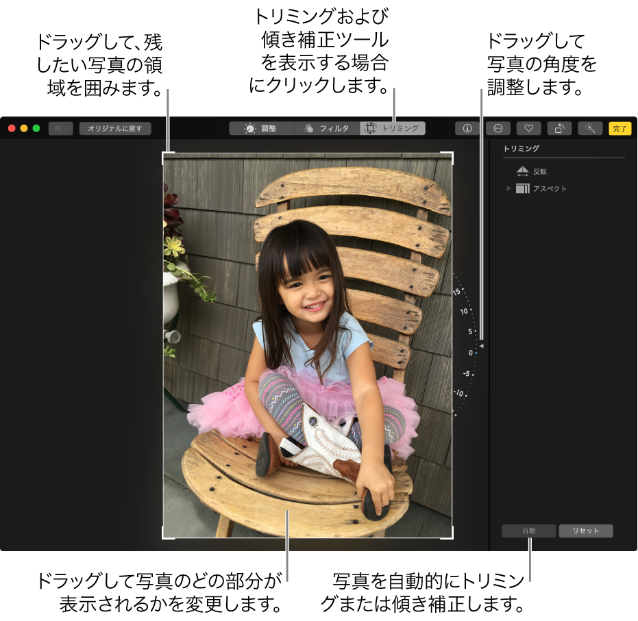 写真が表示されているウインドウとトリミングおよび傾き補正オプション。