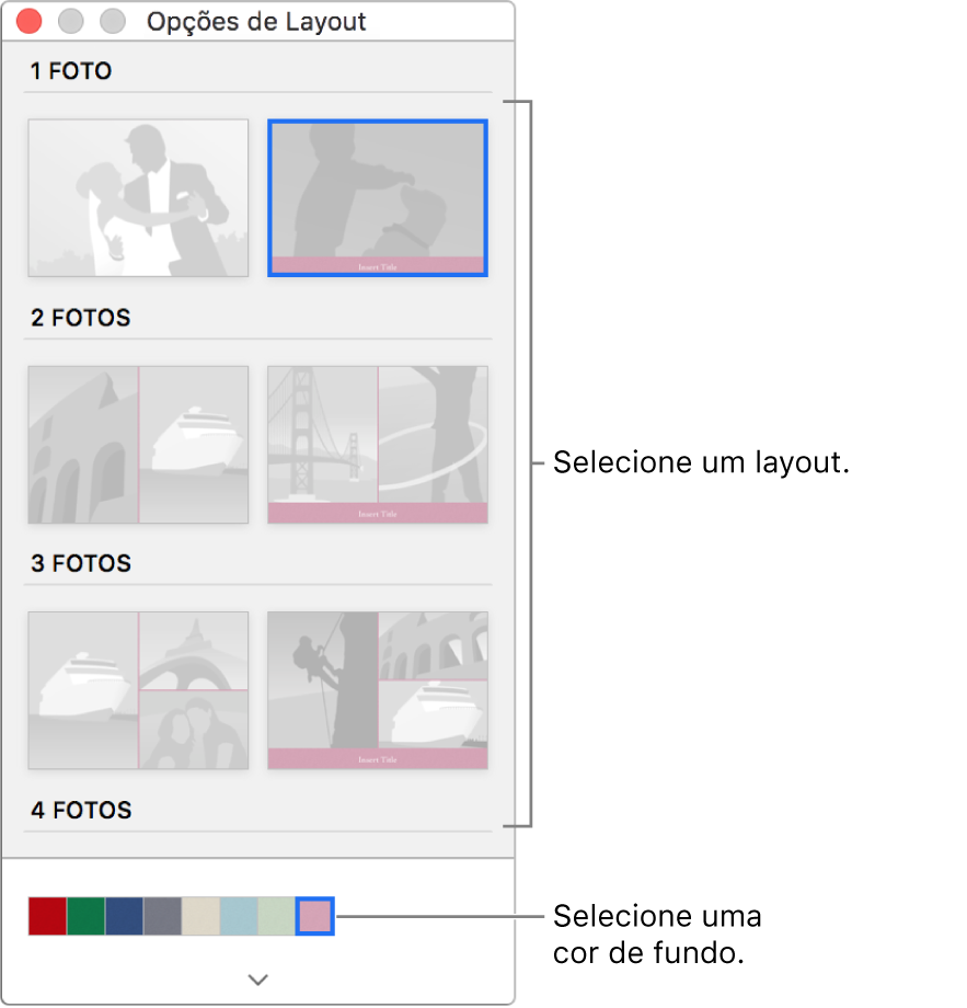 Janela “Opções de Layout” de um cartão.