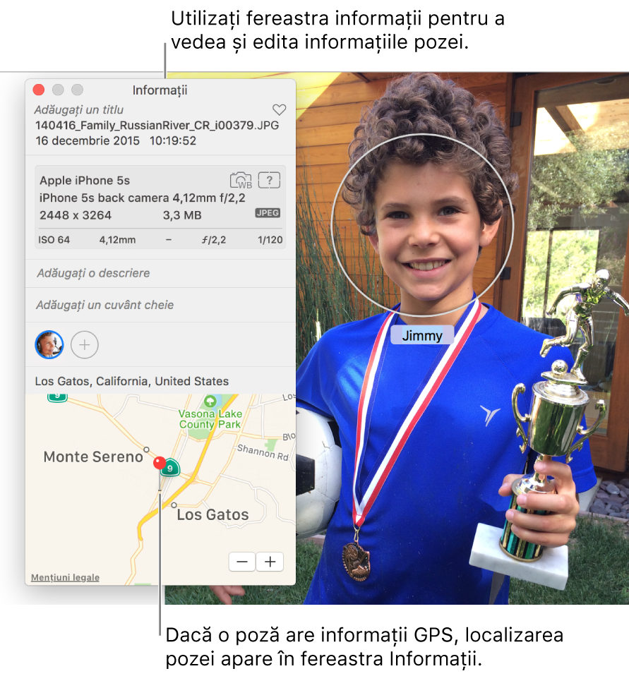 Fereastra Informații pentru o poză.