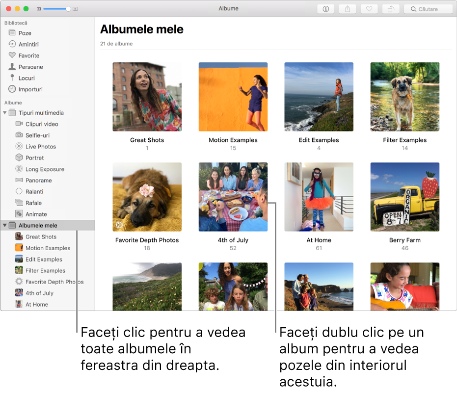 Fereastră Poze cu dosarul “Albumele mele” selectat în bara laterală și albumele pe care le‑ați creat afișate în fereastra din dreapta.