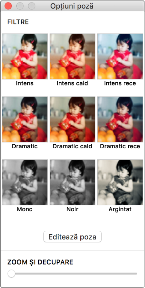 Fereastra Opțiuni poză cu opțiuni pentru bordură în partea de sus.