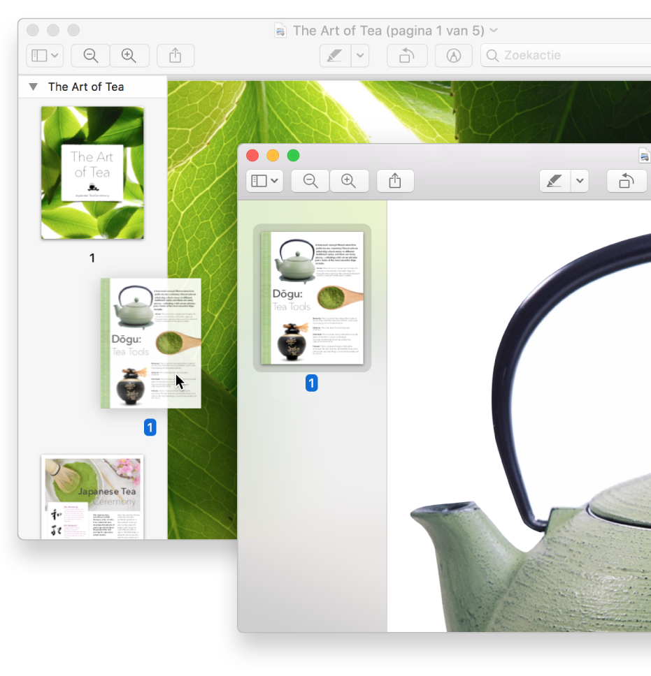 Een paginaminiatuur van de ene pdf naar de navigatiekolom van de andere slepen.
