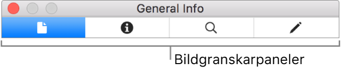 Bildgranskningspanelen.