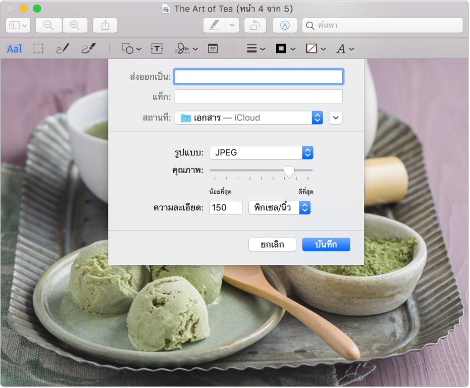 ตัวเลือกส่งออกในการแสดงตัวอย่าง