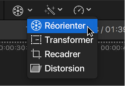 Élément de menu Réorienter permettant d’accéder à la commande Réorienter