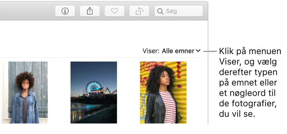 Lokalmenuen Viser er indstillet til at vise alle emner.