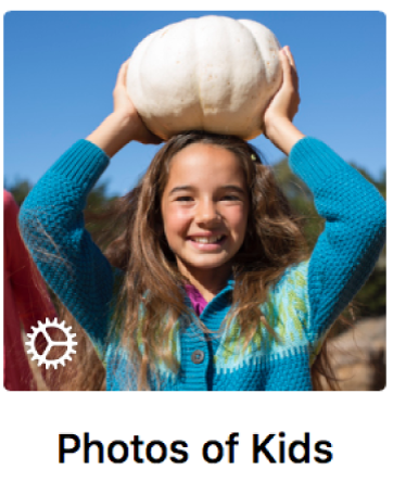 Una miniatura de un álbum inteligente.