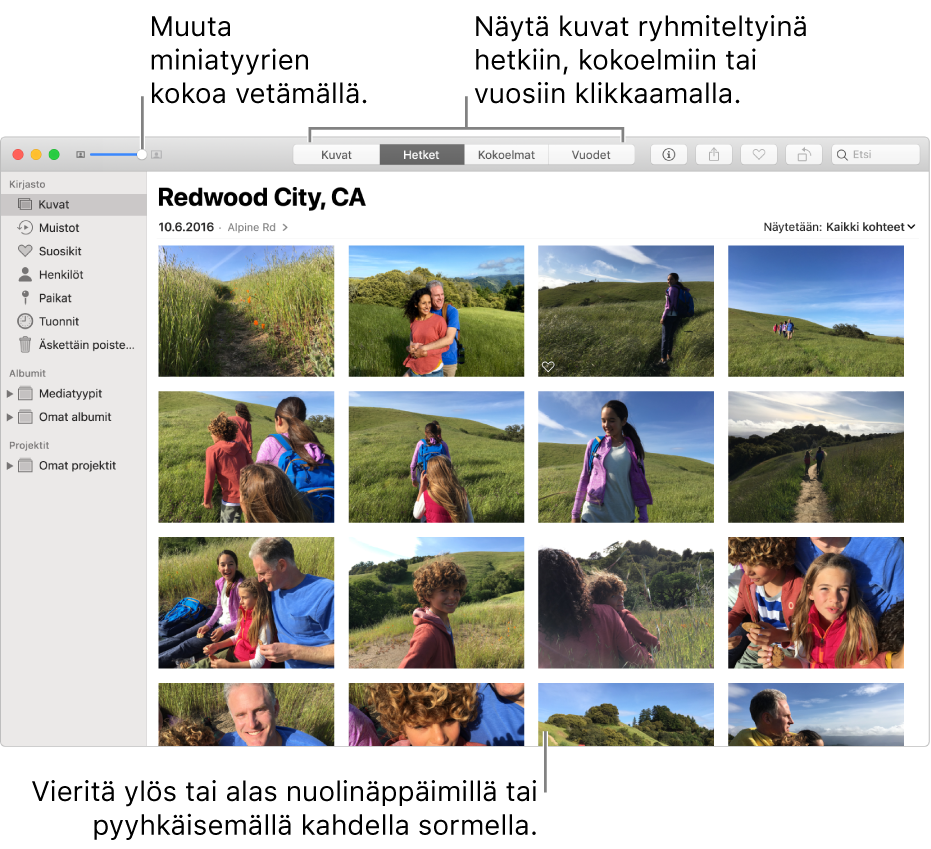 Kuvat-ikkuna, jossa näkyy hetkessä olevia kuvia.