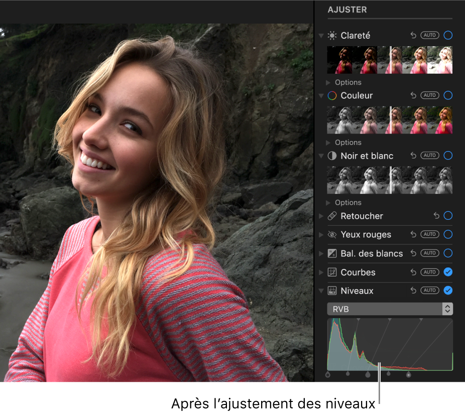 Une photo après les ajustements de niveaux.