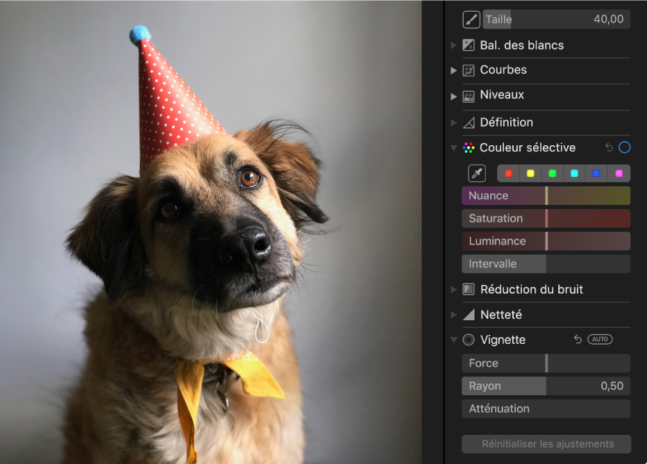 Une photo avant l’ajustement Couleur sélective.