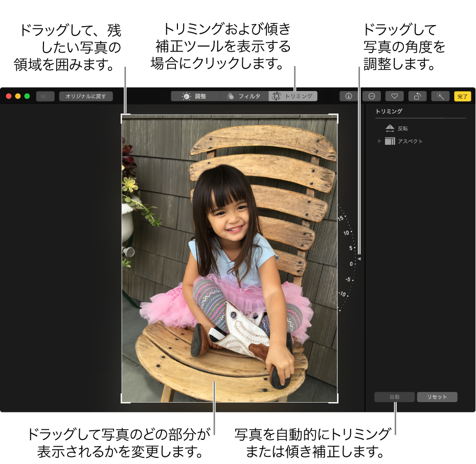編集ビューの写真。トリミングオプションと傾き補正オプションが表示されています。