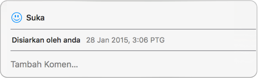 Tetingkap menunjukkan pilihan suka dan komen untuk foto dikongsi.
