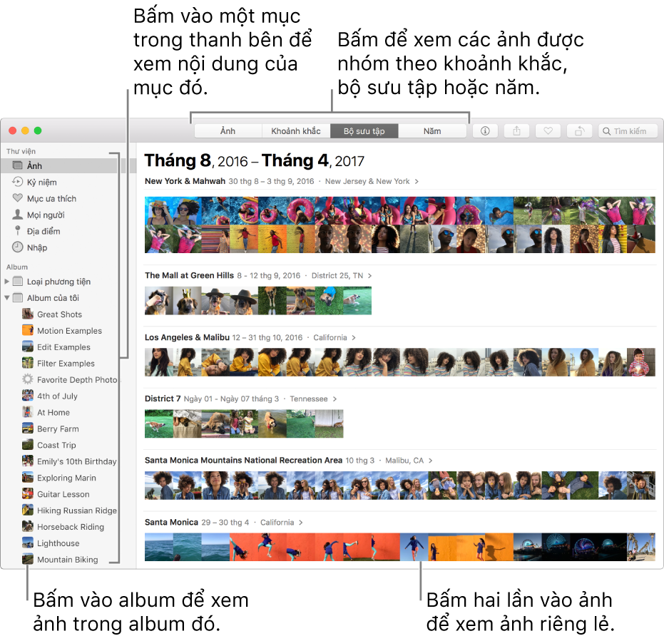 Cửa sổ Ảnh đang hiển thị các ảnh được tổ chức theo bộ sưu tập.