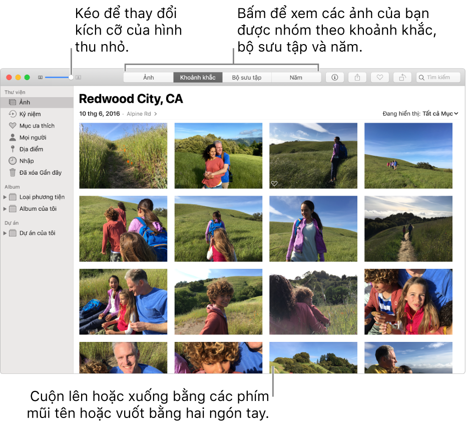 Cửa sổ Ảnh đang hiển thị các ảnh trong một khoảnh khắc.