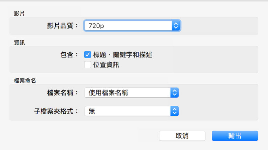 對話框顯示輸出影片的選項。