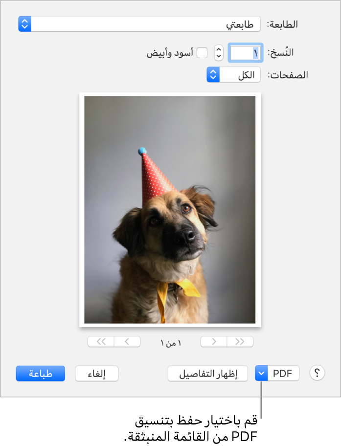 انقر على القائمة المنبثقة PDF، ثم قم باختيار حفظ كملف PDF.