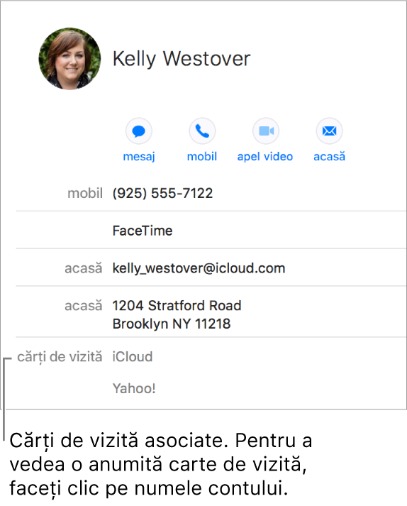 O carte de vizită asociată cu două conturi în secțiunea Cărți de vizită; pentru a vedea un cont anume, faceți clic pe numele său.