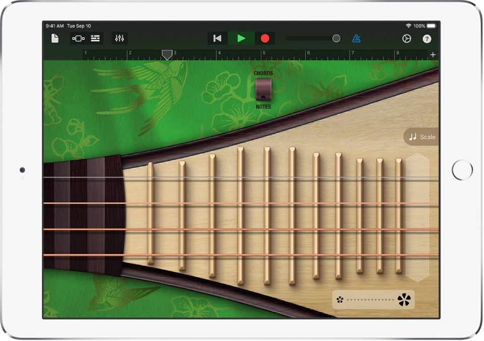 شكل. الـ Pipa، في عرض النوتات.