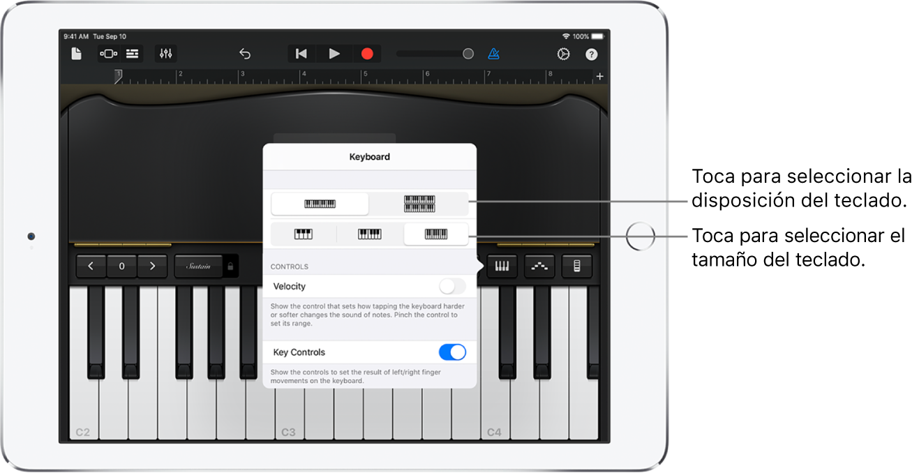Controles de disposición y tamaño del teclado