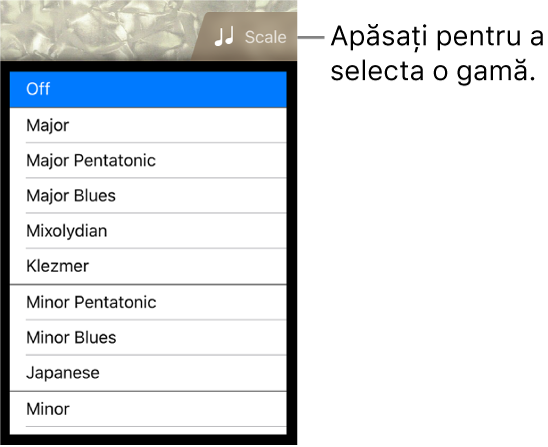 Buton gamă Bas și listă Gamă