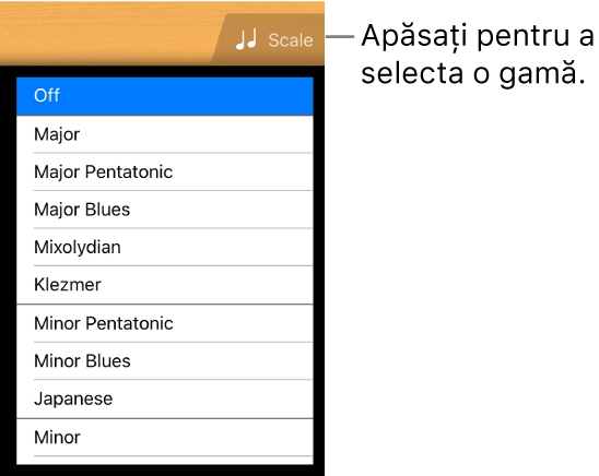 Buton gamă Chitară și listă Gamă