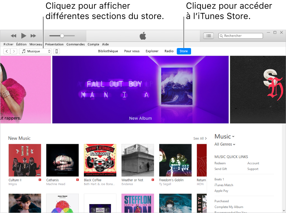 La fenêtre principale de l’iTunes Store : Dans la barre de navigation, Store est surligné. Dans le coin supérieur gauche, choisissez de voir différents contenus dans l’iTunes Store (par exemple Musique ou TV).