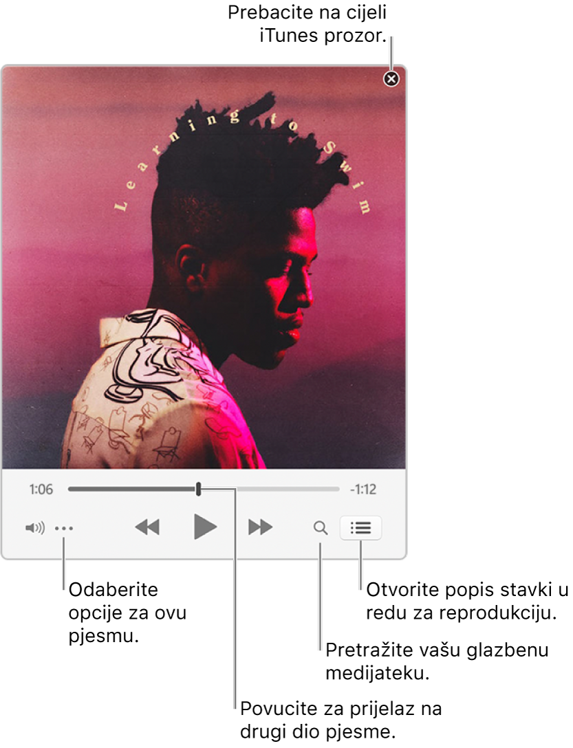 Prošireni MiniPlayer prikazuje kontrole za pjesmu koja se reproducira. U gornjem desnom kutu nalazi se tipka za zatvaranje koja se koristi za prebacivanje u prikaz cijelog iTunes prozora. Na dnu prozora nalazi se kliznik koji možete povući kako biste prešli na drugi dio pjesme. Ispod kliznika s lijeve strane nalazi se tipka Izbornik postupaka gdje za pjesmu koja se reproducira možete odabrati opcije prikaza i ostale opcije. Sasvim desno ispod kliznika nalaze se dvije tipke—povećalo kojim se pretražuje glazbena medijateka i popis Sljedeće na redu koji prikazuje što će se sljedeće reproducirati.