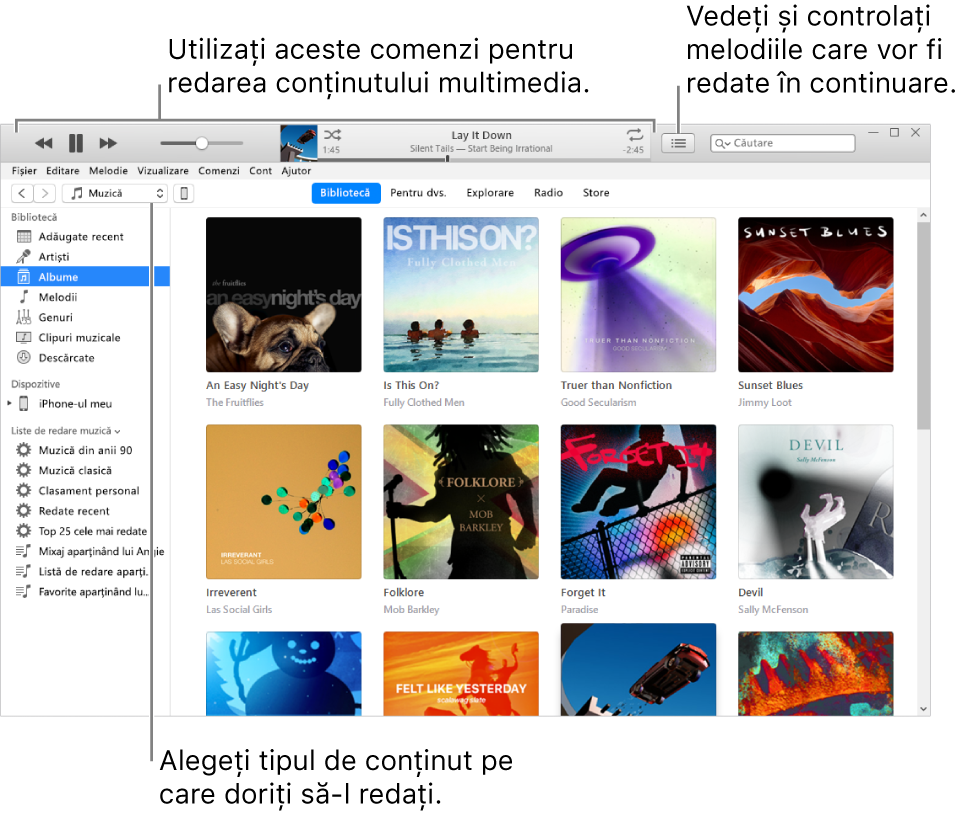 Fereastra principală bibliotecă iTunes: În navigator, selectați tipul de conținut multimedia care să fie redat (cum ar fi Muzică). Utilizați comenzile din bannerul de sus pentru a reda conținutul multimedia și utilizați meniul pop-up Urmează din dreapta pentru a vizualiza biblioteca în diferite moduri.