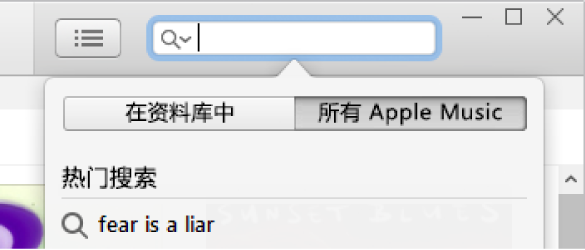 Apple Music 的搜索栏。
