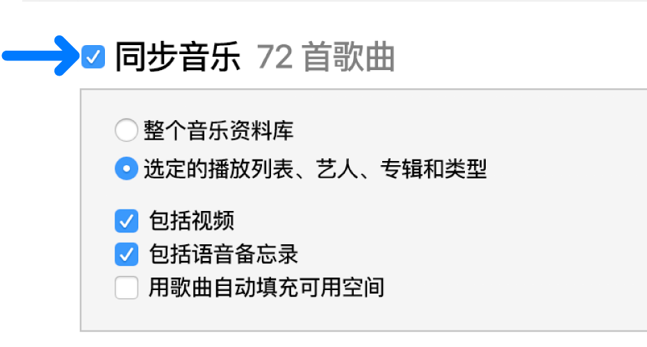 左上方附近的“同步音乐”已选中,包含同步整个资料库或仅所选项目的选项。
