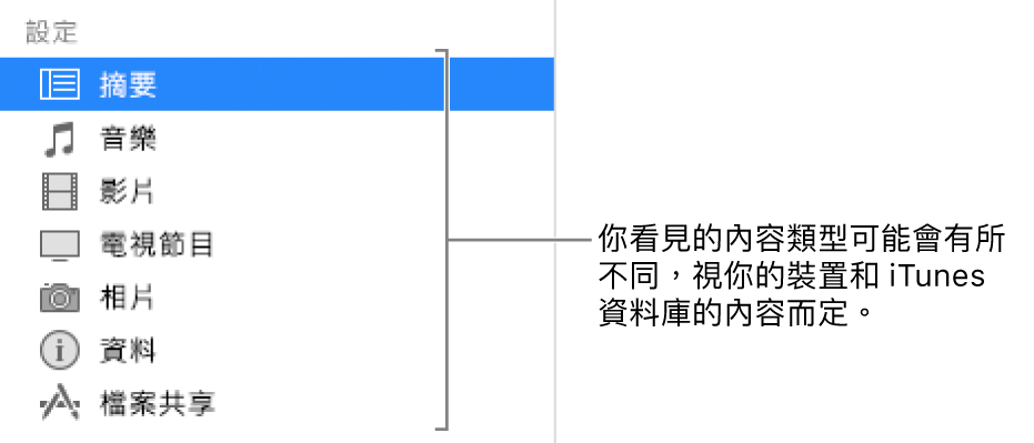 在左側側邊欄選取的摘要。顯示的內容類型可能會不同,視乎你的裝置和 iTunes 資料庫中的內容而定。
